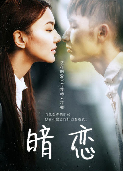 亚美尼亚护照电子版作假